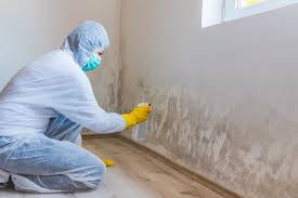 Best Environmental Consulting for Mold Prevention  in Tabor City, NC