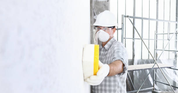 Why You Should Choose Our Mold Remediation Services in Tabor City, NC